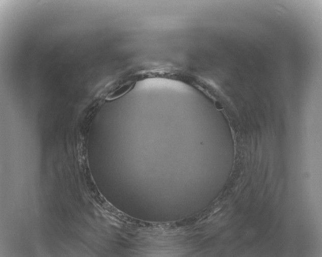 X0000064741399200602241739