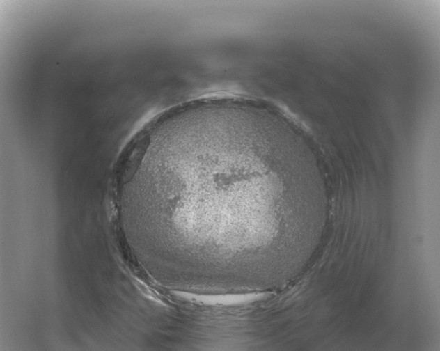 X0000064741400200602241739