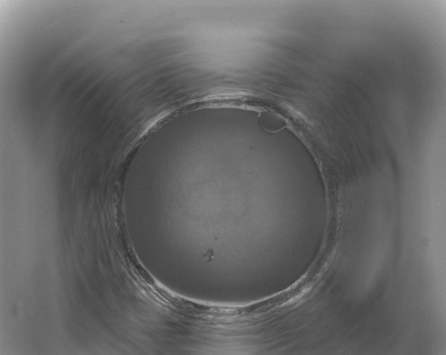 X0000064741401200602241739