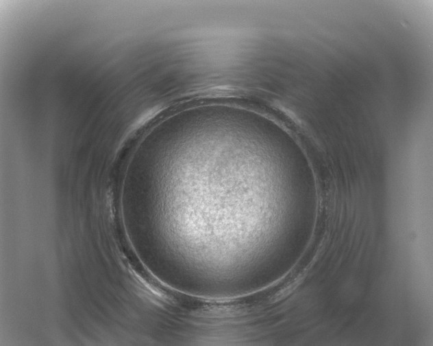 X0000064741402200602241739