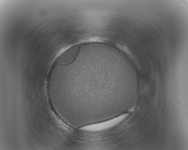 X0000064741404200602241739