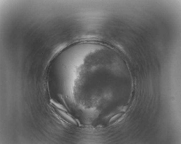 X0000064741405200602241739