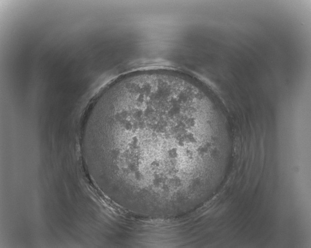 X0000064741407200602241739