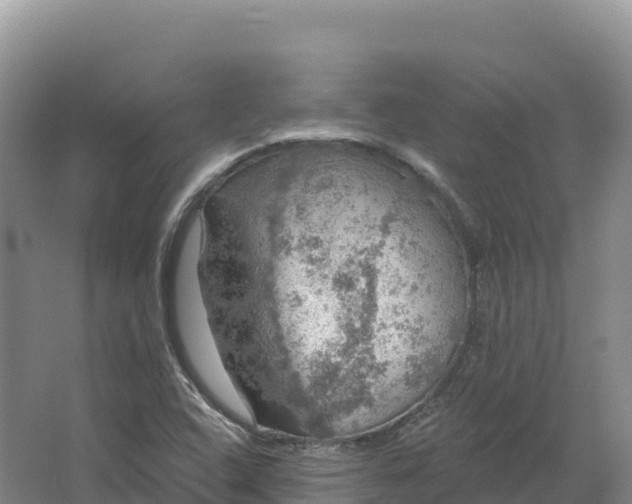 X0000064741408200602241739