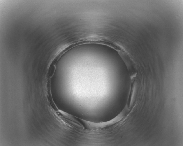 X0000064741410200602241739