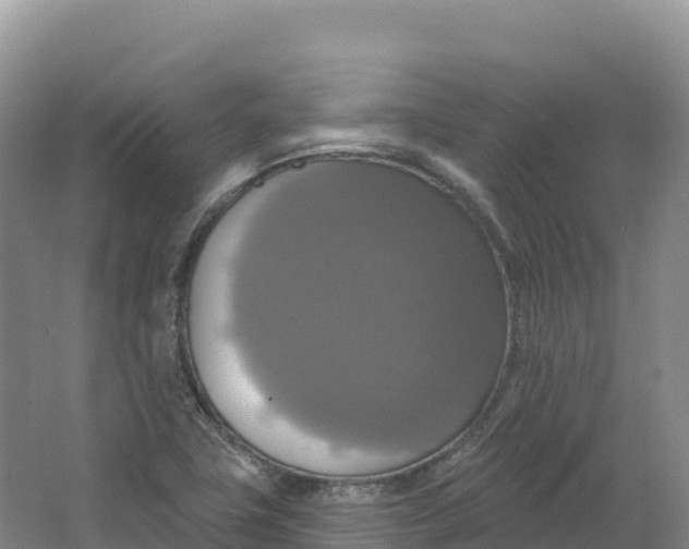 X0000064741411200602241739