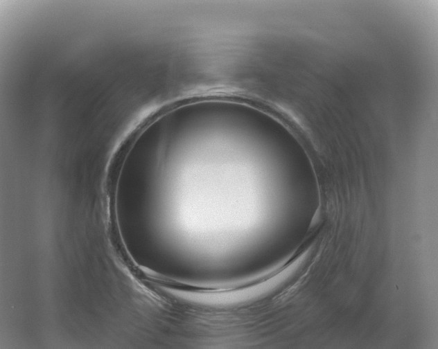 X0000064741414200602241739