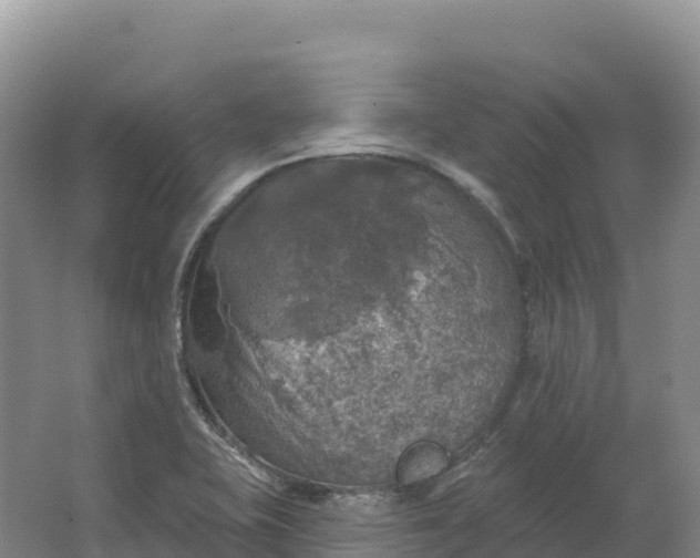 X0000064741415200602241739