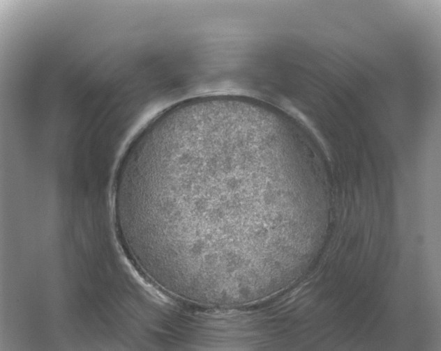 X0000064741416200602241739