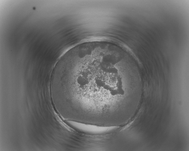 X0000064741417200602241739