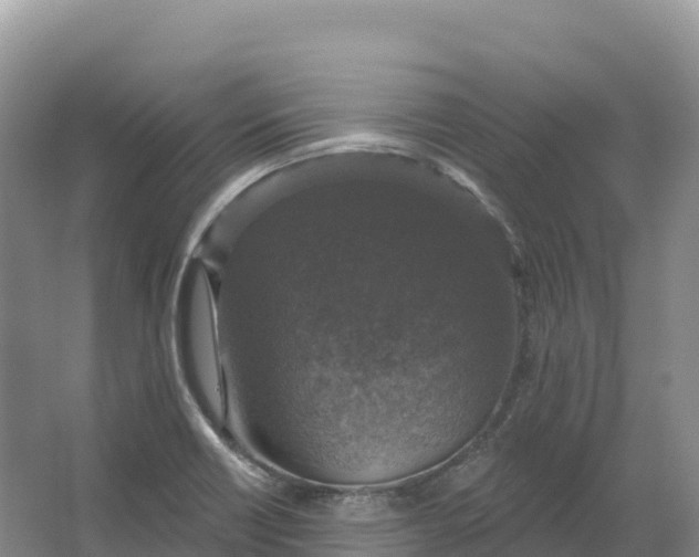 X0000064741418200602241739