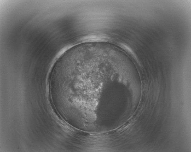 X0000064741419200602241739