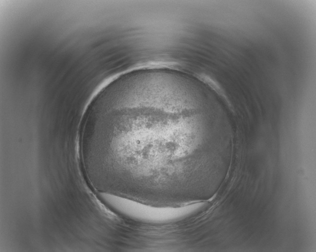 X0000064741420200602241739