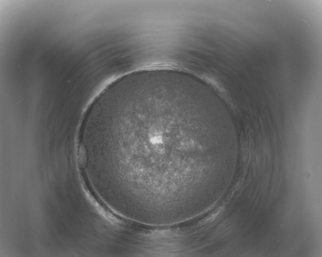 X0000064741422200602241739