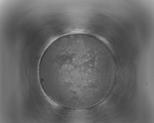 X0000064741423200602241740