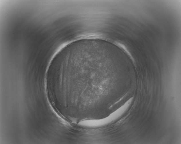 X0000064741424200602241740