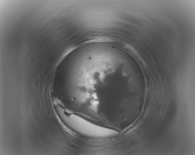 X0000064741425200602241740