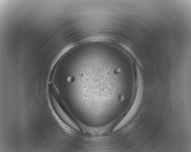 X0000064741426200602241740