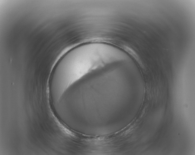 X0000064741428200602241740