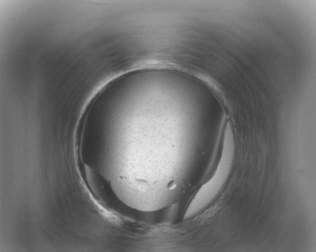 X0000064741430200602241740