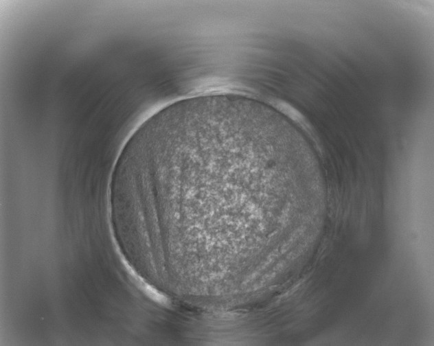 X0000064741431200602241740