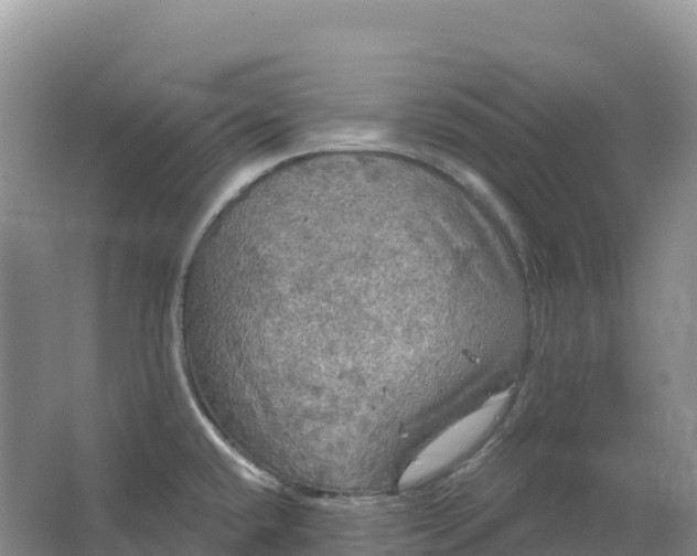 X0000064741432200602241740