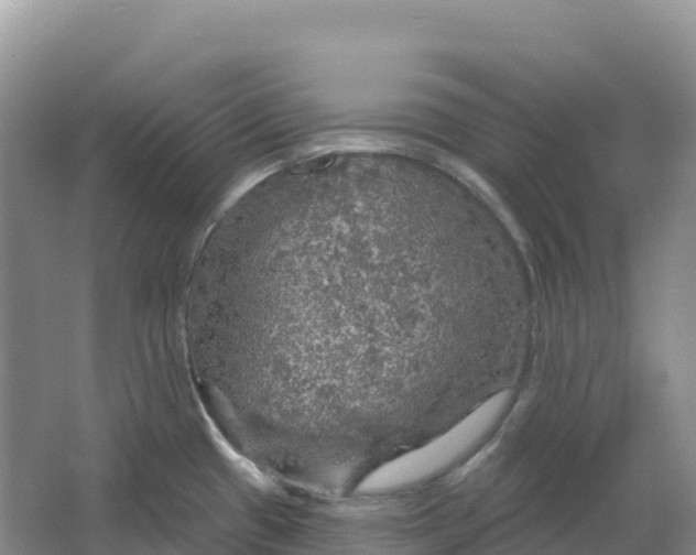 X0000064741433200602241740