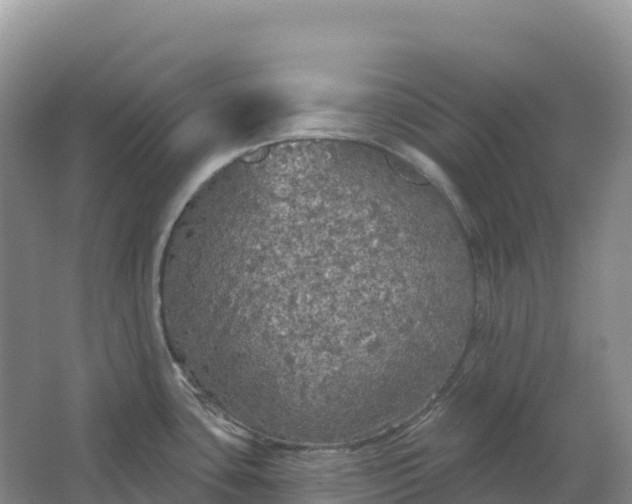 X0000064741435200602241740