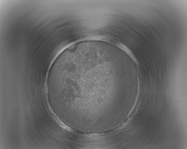 X0000064741436200602241740