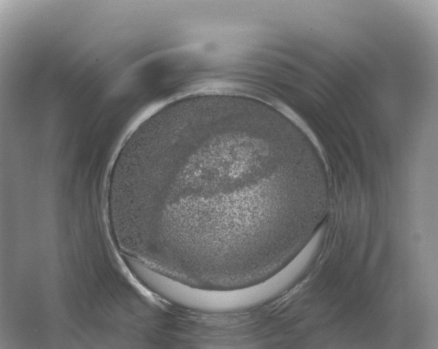 X0000064741437200602241740