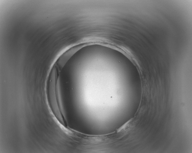 X0000064741438200602241740