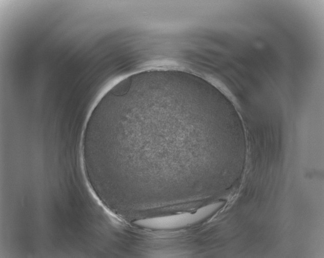 X0000064741440200602241740