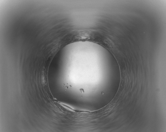 X0000064741442200602241739