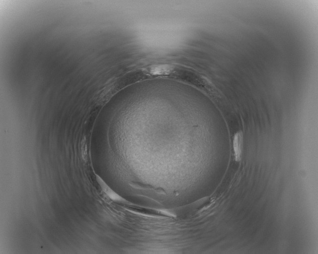 X0000064741443200602241739