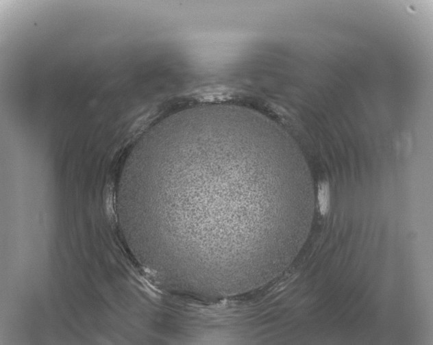 X0000064741444200602241739