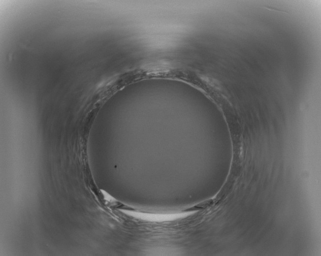 X0000064741445200602241739