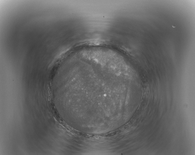 X0000064741446200602241739