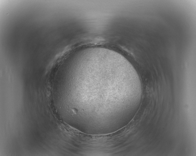 X0000064741447200602241739