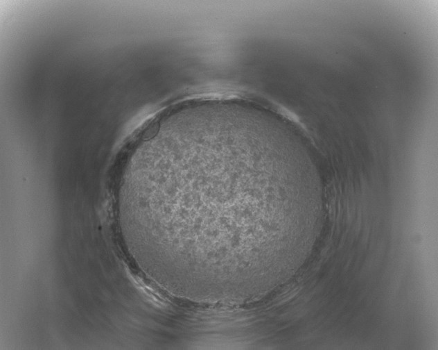 X0000064741448200602241739