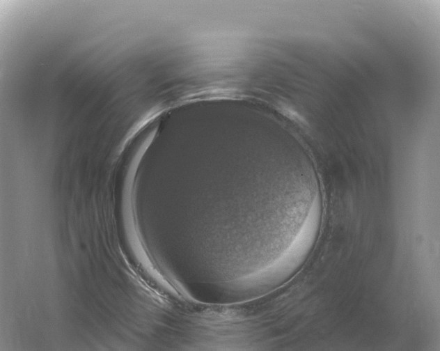 X0000064741450200602241739