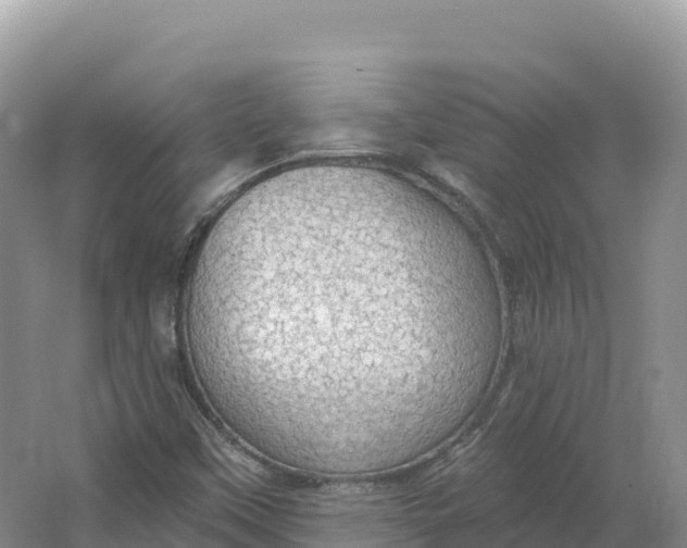 X0000064741451200602241738