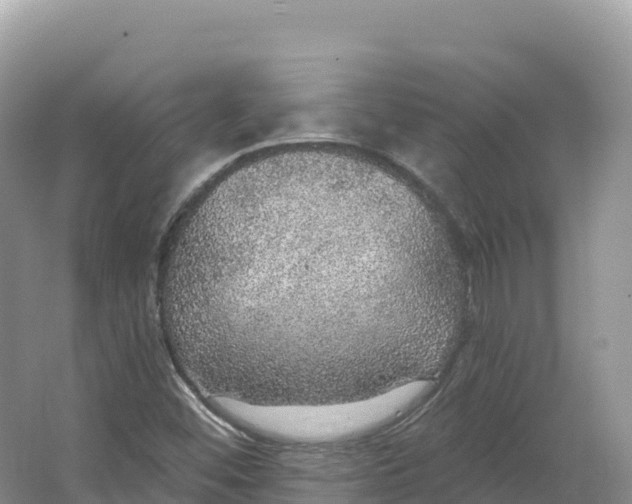 X0000064741452200602241738