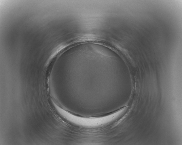 X0000064741453200602241738