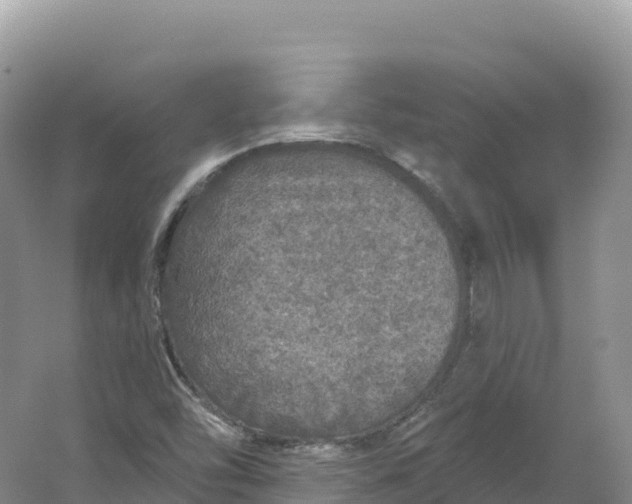 X0000064741454200602241738