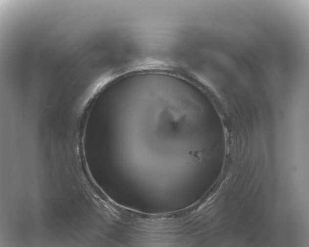 X0000064741455200602241738