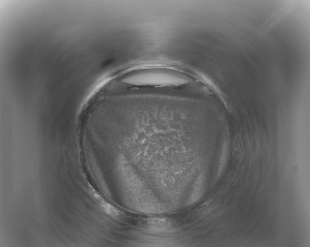 X0000064741456200602241738