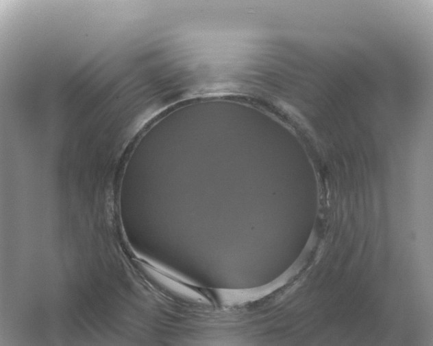 X0000064741457200602241738