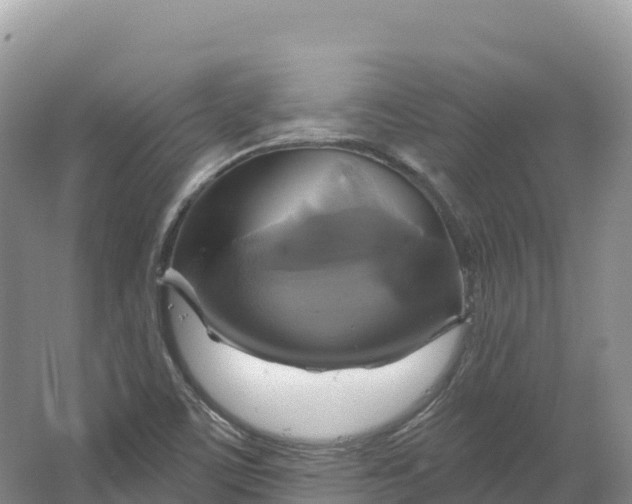 X0000064741459200602241738