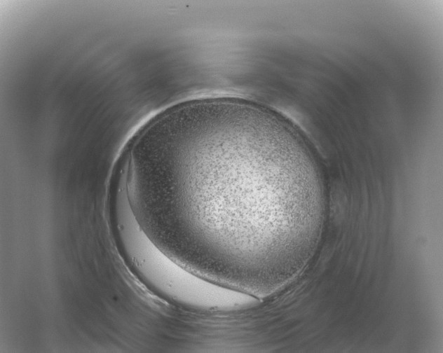 X0000064741460200602241738