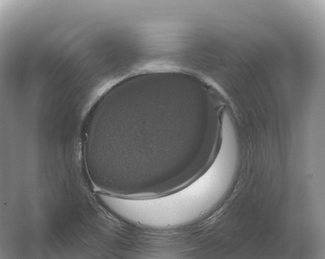 X0000064741461200602241738